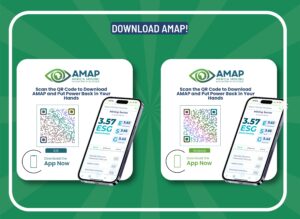 AMAP Projection